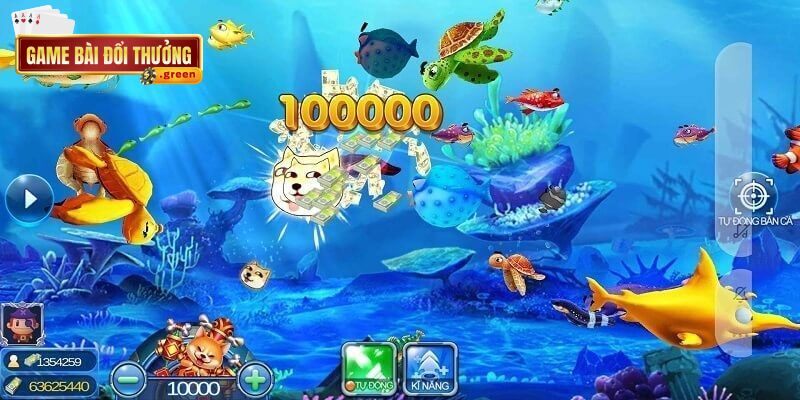 Đa dạng các sinh vật biển đang chờ bạn săn bắt